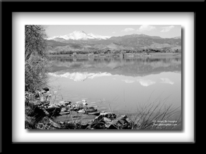Black and white Print of McIntosh Lake Longmont, Colorado
