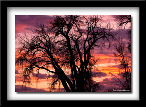 Boulder County Sunset