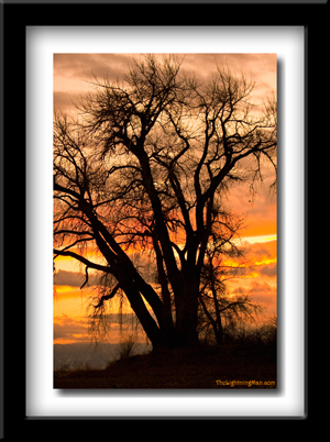 vertical Image Boulder County Sunset
